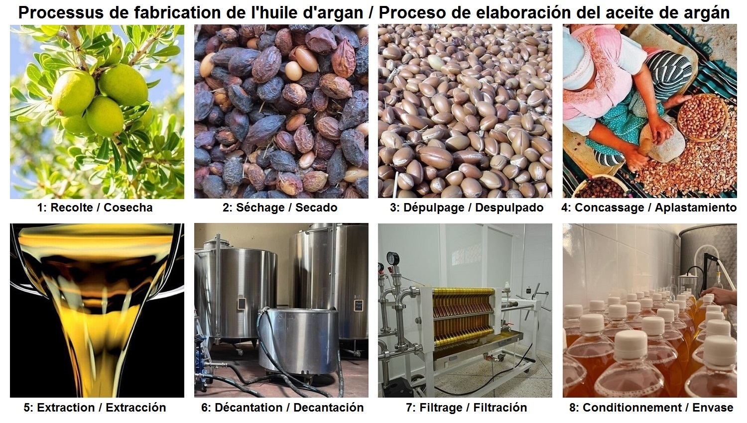 Le processus de fabrication de l'Huile d'Argan Pure Extra Vierge 100% Biologique en 8 étapes.